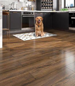 Vinyl Flooring
